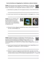 Vorschau - Arbeitsblätter - Vom Doppelspalt zur Bragg-Reflexion - Deckblatt
