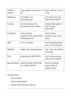Vorschau - Arbeitsblätter - Thema:Produktbeschreibung! Deutsch - Seite 3