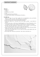 Vorschau - Stundenentwürfe - Fossilien - Belege für die Evolution (inkl. Arbeitsblättern und Tafelmaterial) - Seite 2