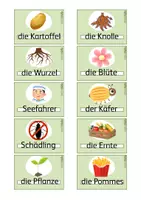 Vorschau - Bildkarten - Lernwörter / Karteikarten zur Kartoffel - Seite 3