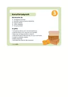 Vorschau - Stationenlernen - Kartoffelexperimente - Karten, Tafelbilder, Protokolle - Seite 2