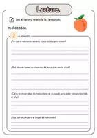 Vista previa - Hojas de trabajo - Comprensión lectora – melocotón + soluciones con material complementario y banco de palabras - página 3
