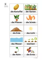 Vorschau - Stationenlernen - Kartoffel Station 09: Kartoffelige Lernwörter - Seite 2