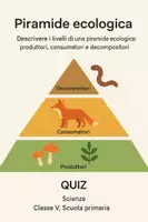 anteprima - Quiz - Descrivere i livelli di una piramide ecologica: produttori, consumatori e decompositori. - Pagina di copertina