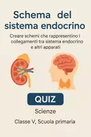 anteprima - Quiz - Creare schemi che rappresentino i collegamenti tra sistema endocrino e altri apparati. - Pagina di copertina