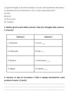 anteprima - Compiti in classe/Test - Esame: Classificare gli strumenti di un’orchestra in famiglie (archi, fiati, percussioni, tastiere) - Pagina 2