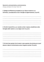 anteprima - Compiti in classe/Test - Esame: Classificare gli strumenti di un’orchestra in famiglie (archi, fiati, percussioni, tastiere) - Pagina 3