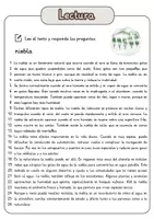 Vista previa - Hojas de trabajo - Comprensión lectora – niebla + soluciones con material complementario y banco de palabras - página 1