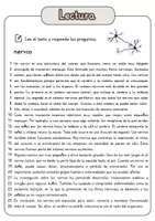Vista previa - Hojas de trabajo - Comprensión lectora – nervio + soluciones con material complementario y banco de palabras - página 1