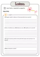 Vista previa - Hojas de trabajo - Comprensión lectora – neurona + soluciones con material complementario y banco de palabras - página 3