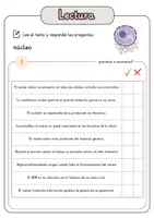 Vista previa - Hojas de trabajo - Comprensión lectora – núcleo + soluciones con material complementario y banco de palabras - página 2