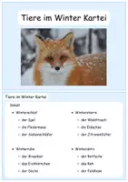 Vorschau - Stationenlernen - Lernkartei Tiere im Winter Sachunterricht Grundschule 2 3 4 - Seite 3