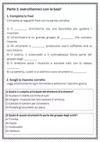 anteprima - Esercizi - Riconoscere il ruolo del direttore d’orchestra e dei diversi gruppi strumentali - Pagina 1
