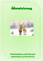 Vorschau - Stationenlernen - ueberwinterung-der-tiere-stationenlernen-mit-loesu - Deckblatt