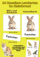 Vorschau - Bildkarten - Haustiere entdecken – 24 Lernkarten mit realistischen Fotos für den Unterricht und Kita-Alltag - Seite 3