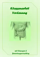 Vorschau - Arbeitsblätter - klassenarbeit-verdauung-klasse-5 - Deckblatt