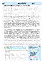 Vorschau - Arbeitsblätter - Materialpaket - WBS Wirtschaft im Alltag - SOFORT einsatzbereit 💡 - Seite 2