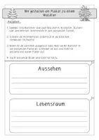 Vorschau - Arbeitsblätter - Waldtiere: Projekt Plakate erstellen (Recherche) - Sachunterricht - Kl. 2/3 - Seite 2