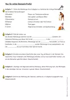 Vorschau - Arbeitsblätter - Werkzeuge in der Steinzeit *erprobtes Material* - Seite 3