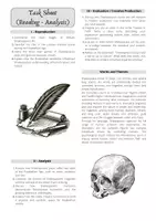 Vorschau - Stundenentwürfe - William Shakespeare - Biography (Sachtext) - Seite 2