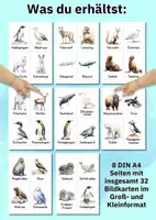 Vorschau - Arbeitsblätter - Das große Tier-Materialpaket: Über 400 Bildkarten & Poster für Unterricht und Förderung - Seite 2