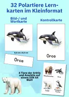 Vorschau - Arbeitsblätter - Das große Tier-Materialpaket: Über 400 Bildkarten & Poster für Unterricht und Förderung - Seite 3
