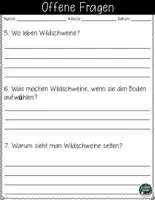 Vorschau - Arbeitsblätter - Wildschwein Ausmalbilder - Lesetext mit Fragen und Lösungen Materialpaket - Seite 3