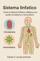 anteprima - Presentazioni / Lavagne - Esploriamo il sistema linfatico: presentazione - Pagina di copertina