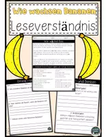 Vorschau - Arbeitsblätter - Wie wachsen Bananen? – Leseverständnis Arbeitsblätter mit Lösungen - Deckblatt
