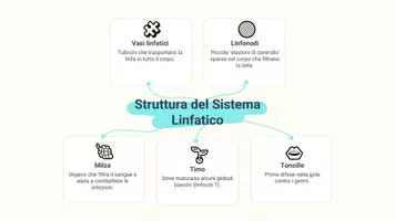 anteprima - Presentazioni / Lavagne - Difesa del corpo: sistema linfatico - Pagina 3