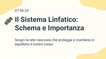 anteprima - Presentazioni / Lavagne - Raccolta di materiali: Sistema linfatico (presentazioni) - Pagina 1