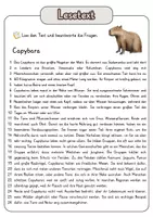 Vorschau - Arbeitsblätter - Leseverständnis (Leseverstehen) - Capybara + Lösungen (mit didaktischer Resverve) - Seite 1