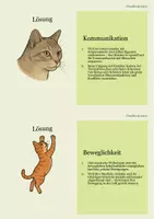 Vorschau - Stationenlernen - Entdecker-Karten Katzen: Spannendes Wissen – mit Aufgaben zum Weiterdenken - Seite 3