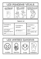 Vista previa - Refuerzo / NEE / Materiales de apoyo - Flipbooks Tema 1. Los seres vivos (cuerpo humano) - página 2