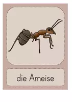 Vorschau - Arbeitsblätter - Buchstaben - Anlautbilder und Arbeitsblätter - Riesenpaket (Vorschule) - Seite 2