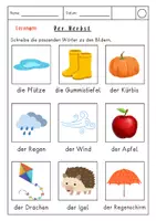 Vorschau - Arbeitsblätter - Wörter zu Bildern schreiben Thema Herbst - Seite 1