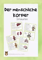 Vorschau - Bildkarten - Der menschliche Körper - Infokarten - Deckblatt