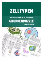 Vorschau - Stationenlernen - Gruppenpuzzle Zelltypen (Pflanzen, Tiere, Pilze, Bakterien) - Deckblatt