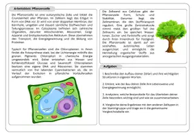 Vorschau - Stationenlernen - Gruppenpuzzle Zelltypen (Pflanzen, Tiere, Pilze, Bakterien) - Seite 1
