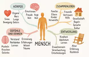Vorschau - Arbeitsblätter - Arbeitsblätter "Mensch" + Lösung & MP3 + Mindmap + Infografik - Seite 2
