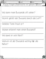Vorschau - Arbeitsblätter - Der Bussard im Flug – Arbeitsblätter mit Lesetext & Lösungen - Seite 3