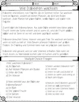 Vorschau - Arbeitsblätter - Wie Erdbeeren wachsen – Leseverständnis Arbeitsblätter mit Lösungen - Seite 2