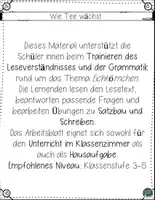 Vorschau - Arbeitsblätter - Vom Blatt zur Tasse – Wie Tee wächst (Lesetraining mit Fragen & Lösungen) - Seite 1