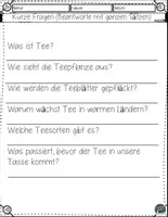 Vorschau - Arbeitsblätter - Vom Blatt zur Tasse – Wie Tee wächst (Lesetraining mit Fragen & Lösungen) - Seite 3