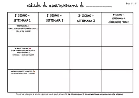 anteprima - Materiale di supporto/inclusione - IL VIAGGIO NELL’AUTUNNO, TRA REALTÁ E FANTASIA 🍁 - Pagina 2