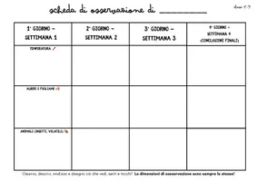 anteprima - Materiale di supporto/inclusione - IL VIAGGIO NELL’AUTUNNO, TRA REALTÁ E FANTASIA 🍁 - Pagina 3