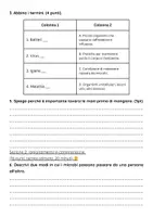 anteprima - Compiti in classe/Test - Esame: importanza dell'igiene per prevenire malattie - Pagina 2