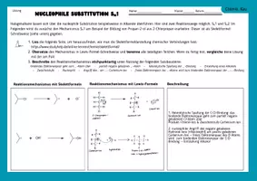 Vorschau - Stundenentwürfe - Nucleophile Substitution SN1 und SN2 - Seite 2
