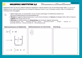 Vorschau - Stundenentwürfe - Nucleophile Substitution SN1 und SN2 - Seite 3