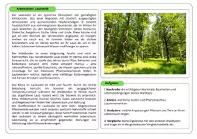 Vorschau - Stationenlernen - Gruppenpuzzle Waldtypen (Ökologie) - Seite 1